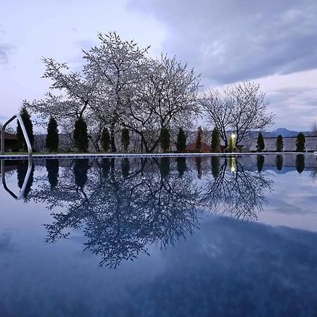 Soare-N Maramures Budeşti المظهر الخارجي الصورة